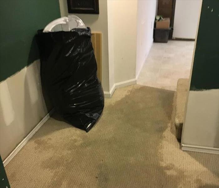 wet, water on carpet, trash bag close by