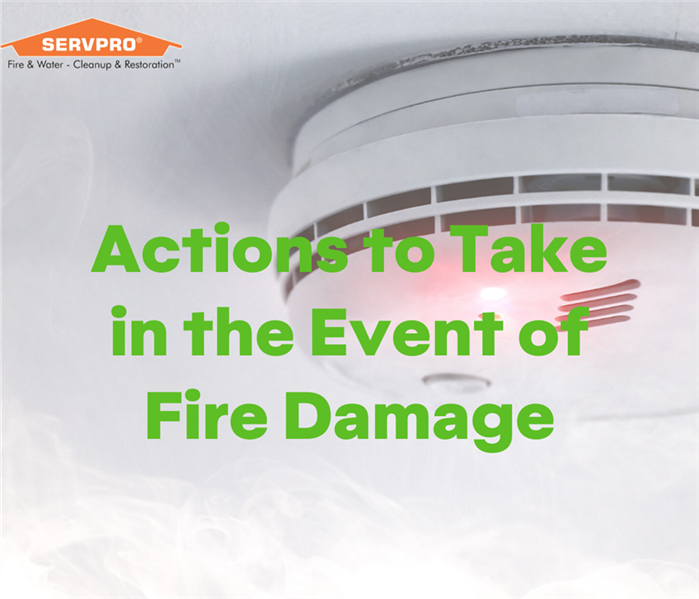 Smoke Detector