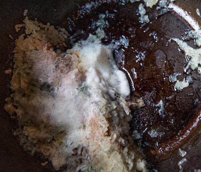 mold damage in restaurant