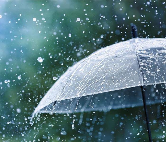 rain/umbrella