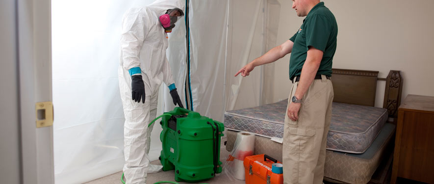 Livermore, CA mold removal process